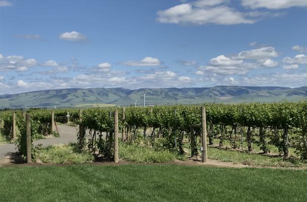 Foodista | Walla Walla's Yellowhawk Sparkling Wines